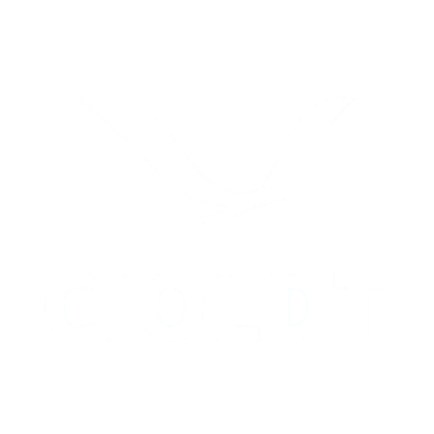 CiolDT