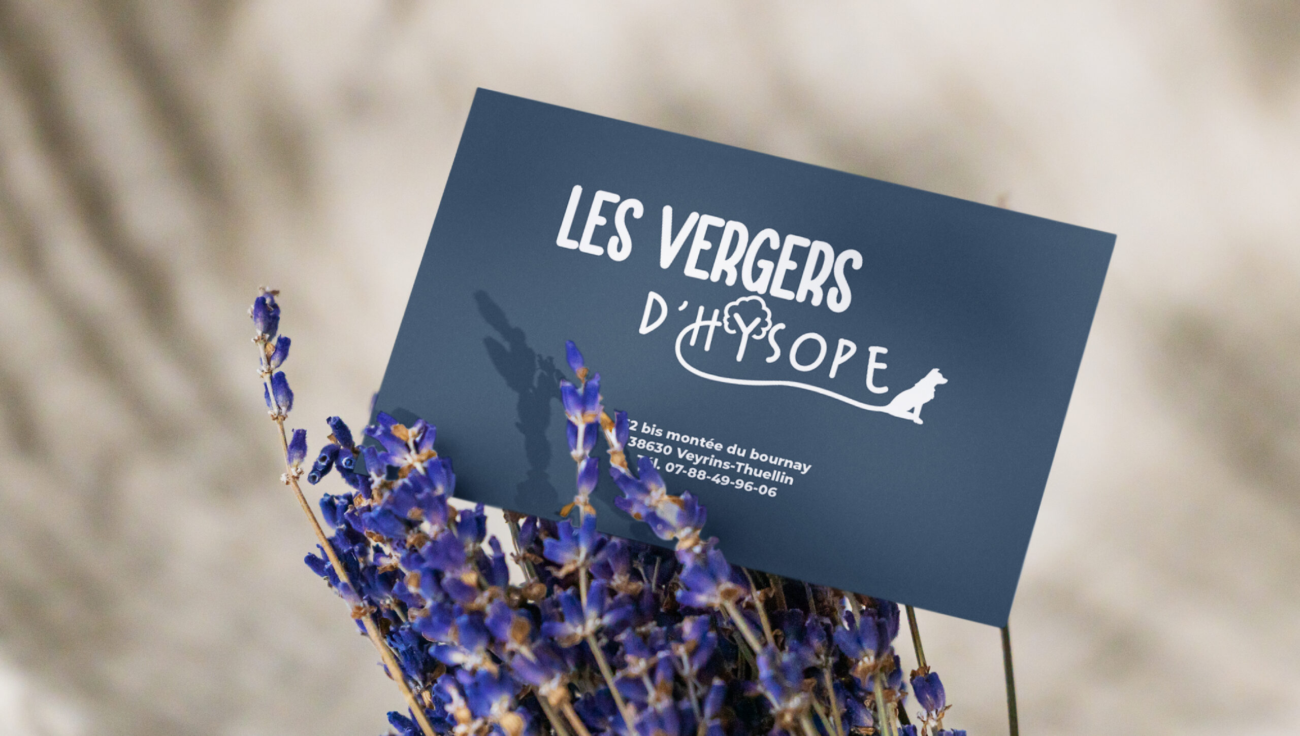 Les Vergers d'Hysope — photo 4